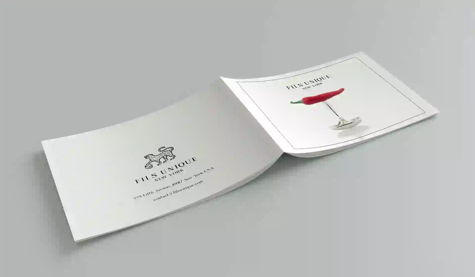 Portfolio Image